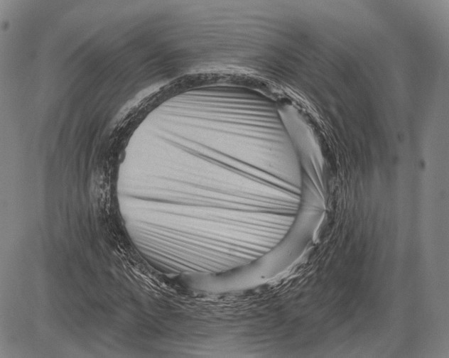 X0000083610872200703051541