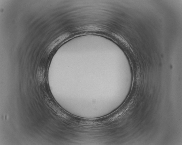 X0000083610873200703051541