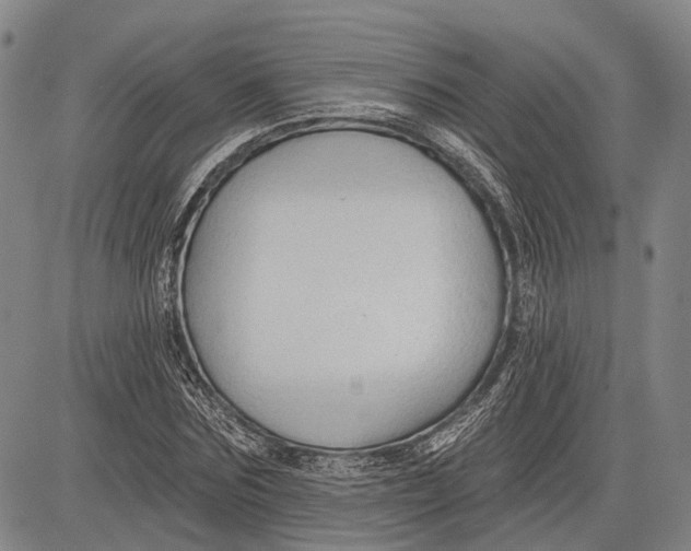 X0000083610875200703051541