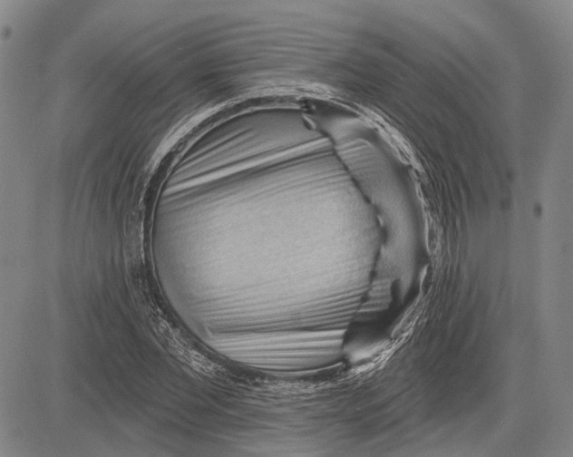 X0000083610877200703051541