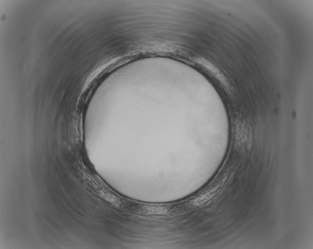 X0000083610878200703051541