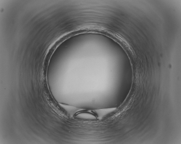 X0000083610880200703051541