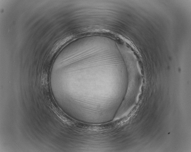 X0000083610881200703051540