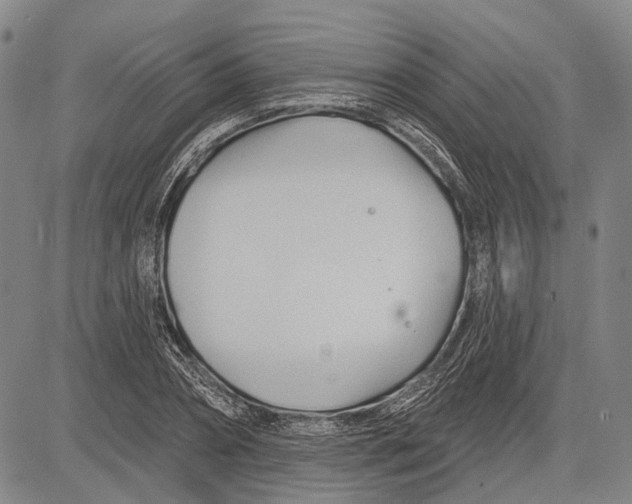 X0000083610882200703051540