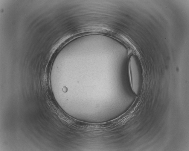 X0000083610883200703051540