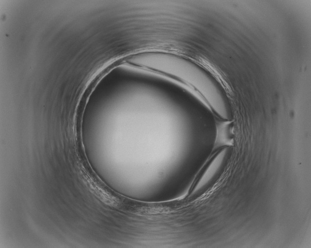 X0000083610884200703051540