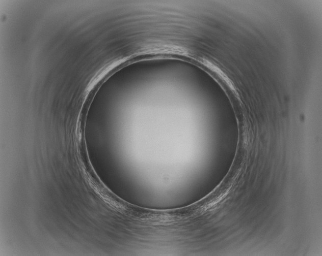 X0000083610885200703051540