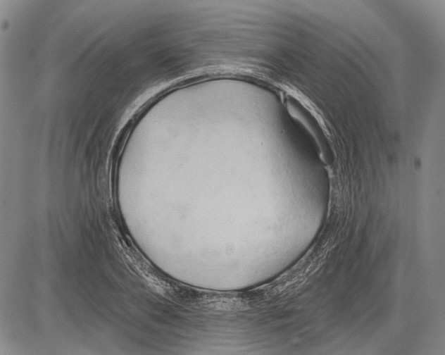 X0000083610886200703051540