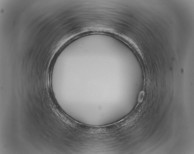 X0000083610887200703051540