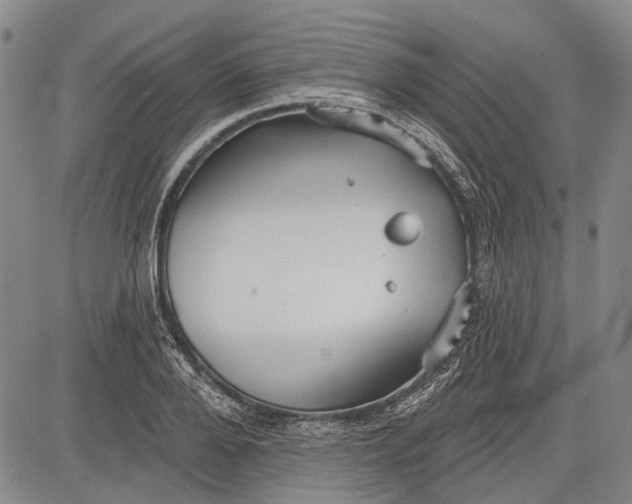 X0000083610888200703051540