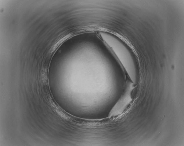 X0000083610889200703051540