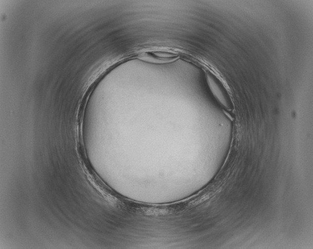 X0000083610890200703051540