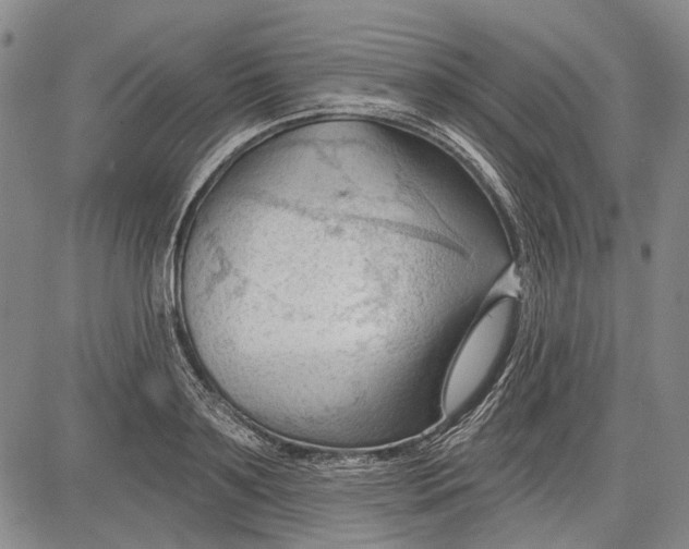 X0000083610891200703051540