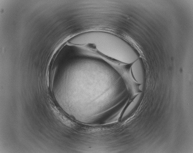 X0000083610892200703051540