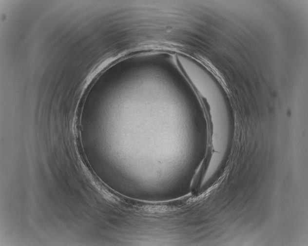 X0000083610893200703051540