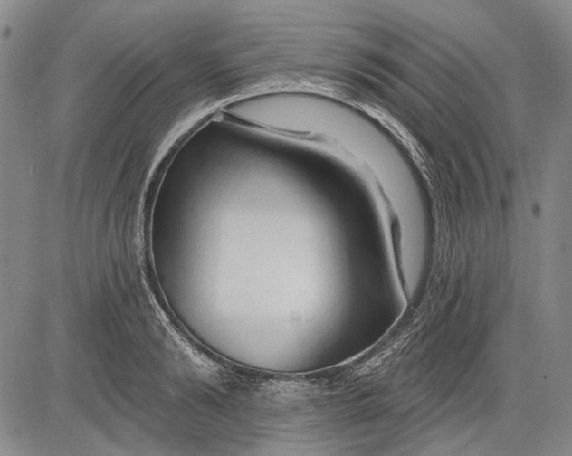 X0000083610894200703051540