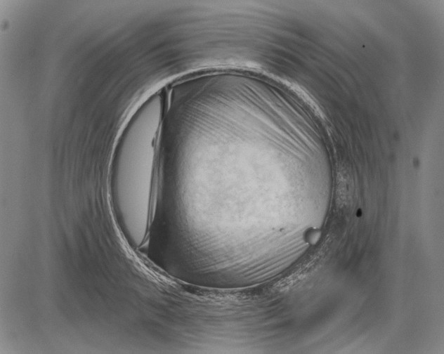 X0000083610895200703051540