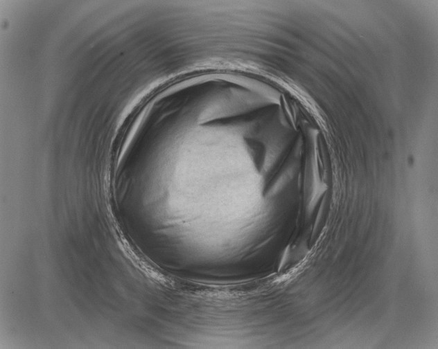 X0000083610896200703051540