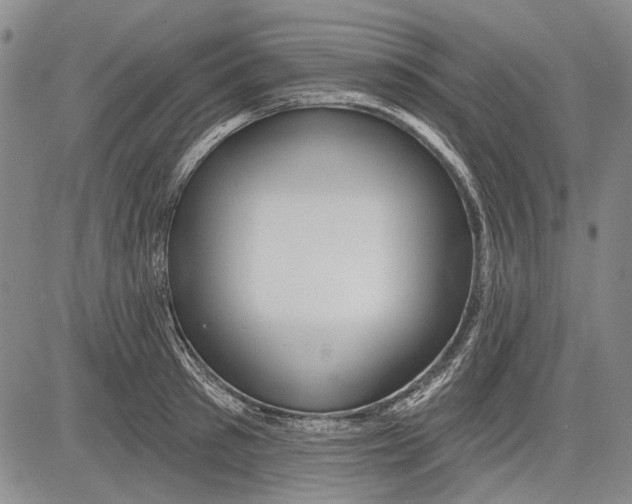 X0000083610897200703051540