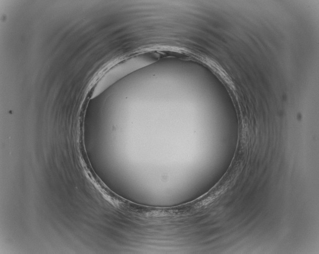 X0000083610898200703051540