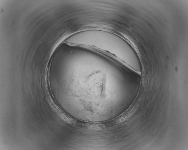 X0000083610899200703051540