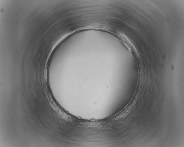 X0000083610900200703051540