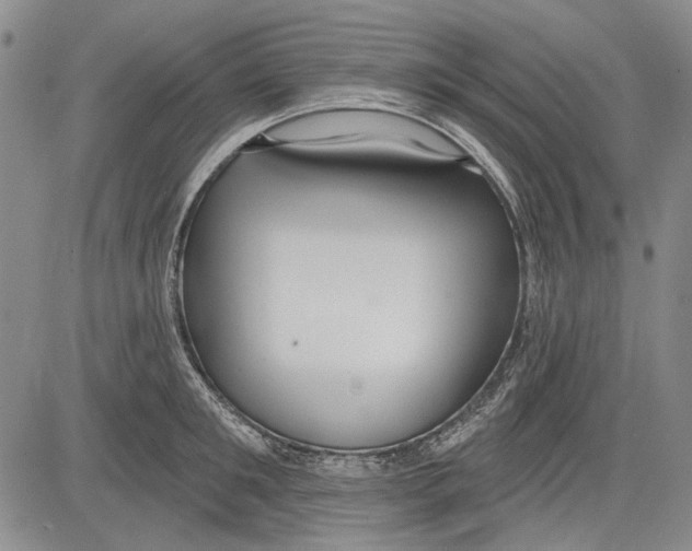 X0000083610901200703051540