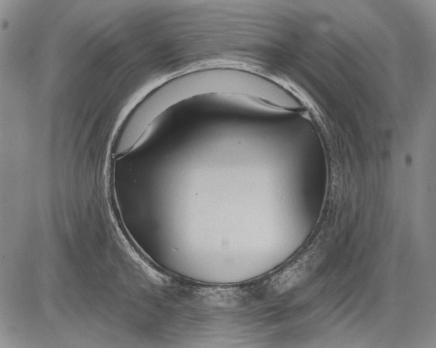 X0000083610902200703051540