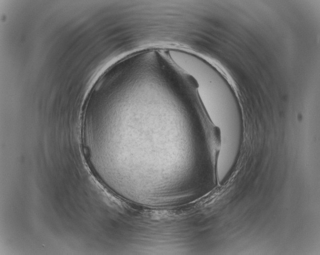 X0000083610903200703051540