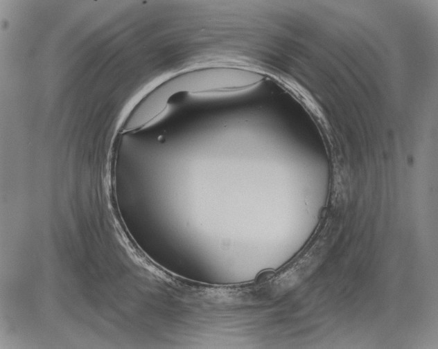 X0000083610904200703051540