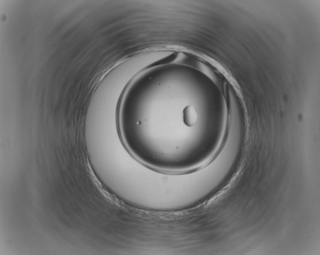 X0000083610905200703051540