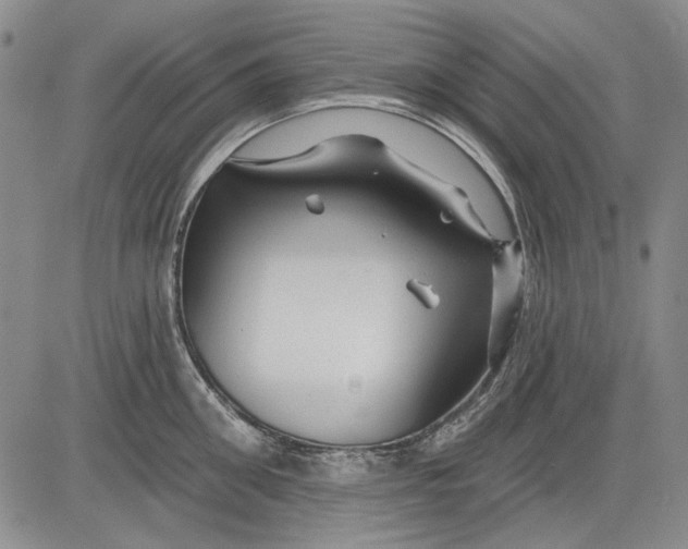 X0000083610906200703051540