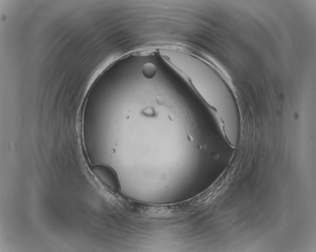 X0000083610907200703051540