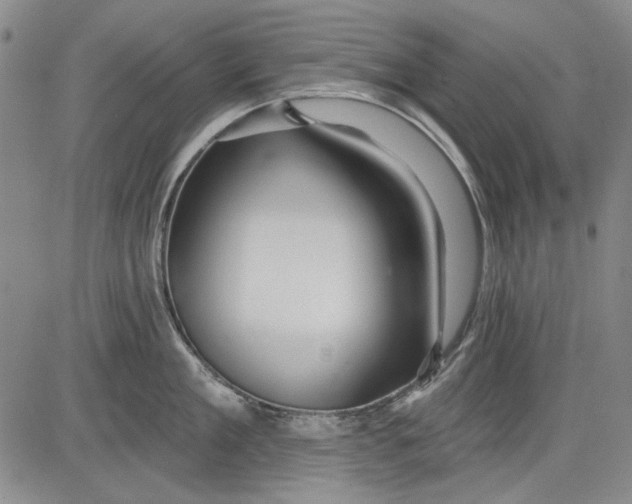 X0000083610909200703051540