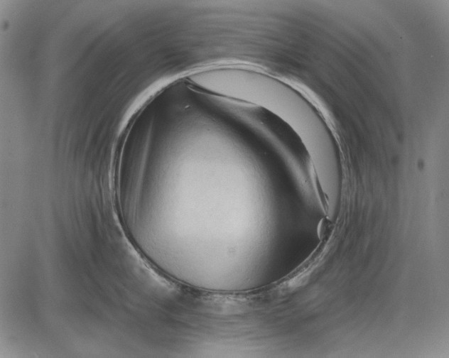 X0000083610910200703051540