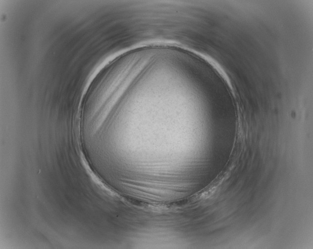 X0000083610911200703051540