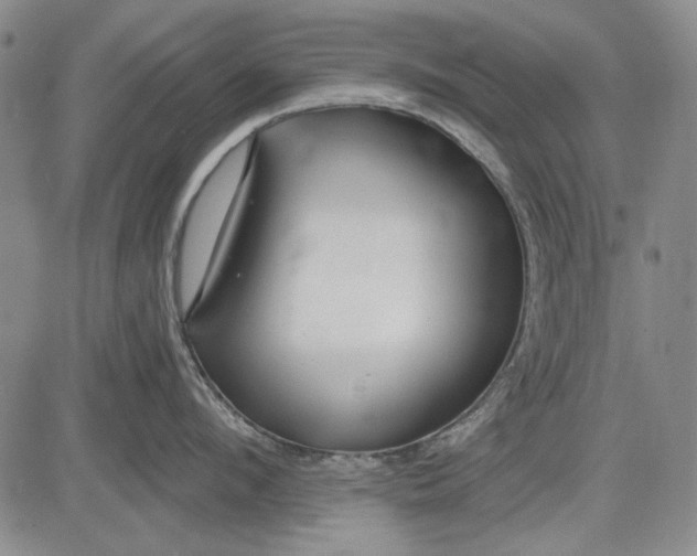 X0000083610912200703051540