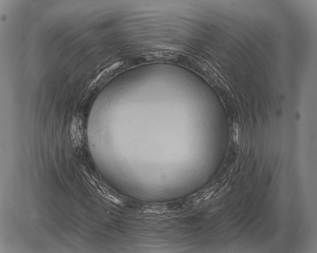 X0000083610915200703051539