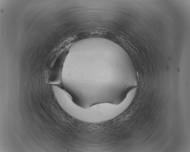 X0000083610916200703051539