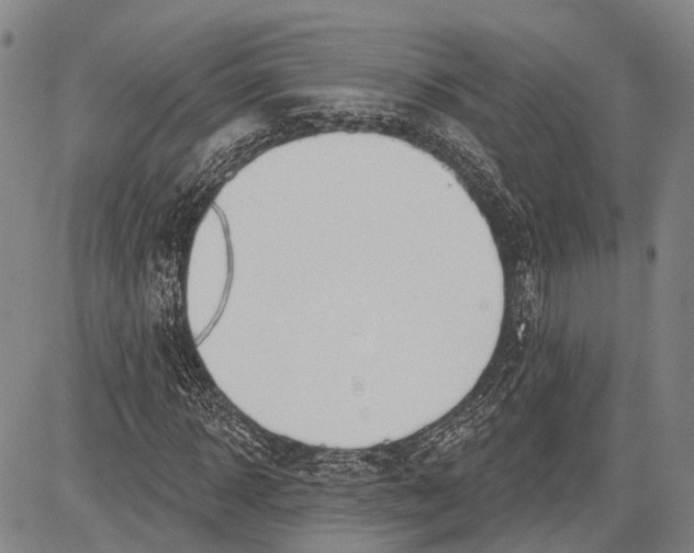 X0000083610918200703051539