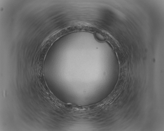 X0000083610919200703051539