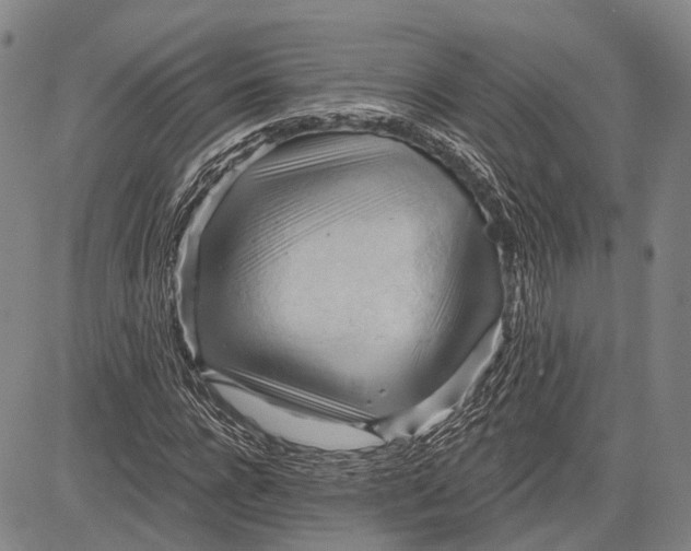 X0000083610920200703051539