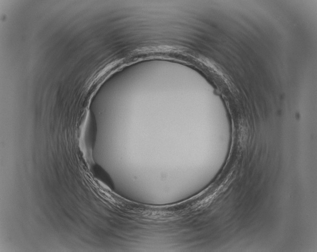 X0000083610921200703051539