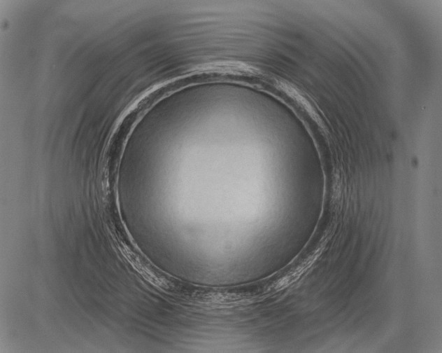 X0000083610923200703051539