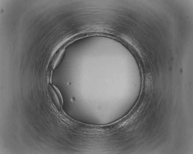 X0000083610925200703051539