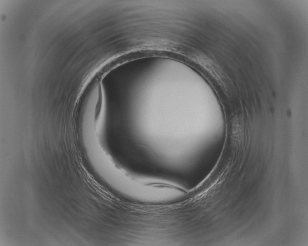 X0000083610926200703051539