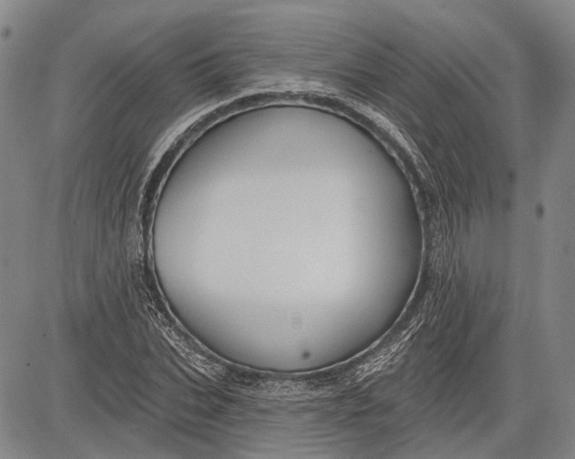 X0000083610927200703051539