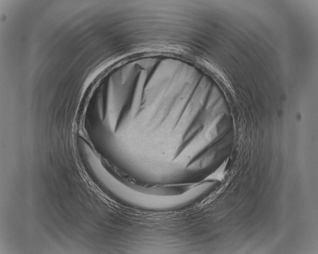 X0000083610928200703051539