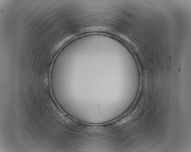 X0000083610929200703051539