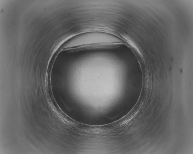 X0000083610932200703051539